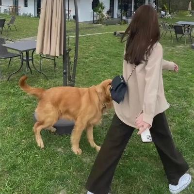遇见贵人